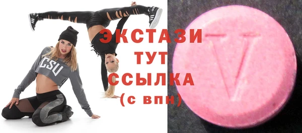 ECSTASY Алзамай