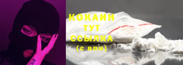 ECSTASY Алзамай