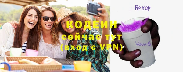 ECSTASY Алзамай